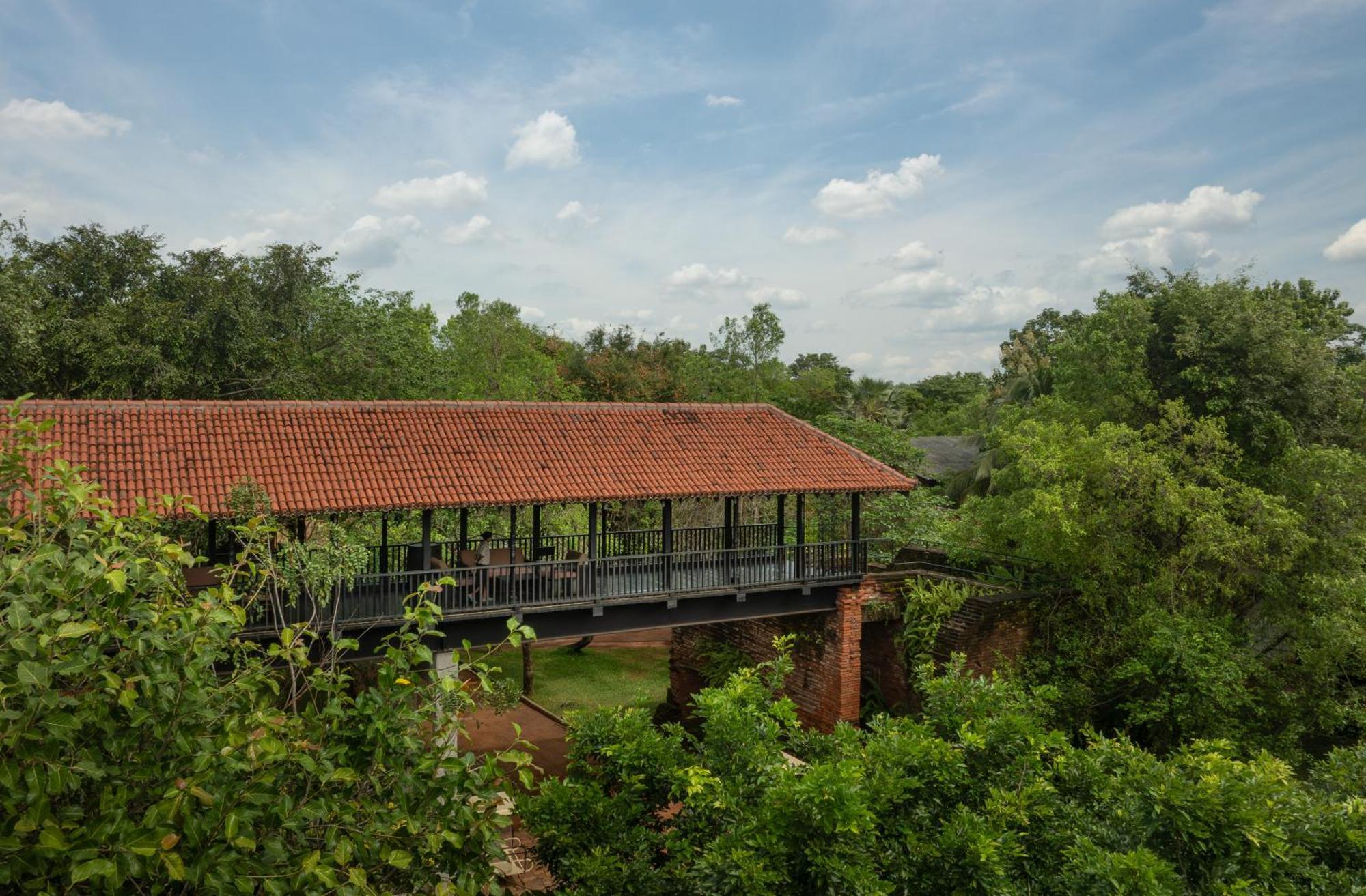 Sigiriyajungles & Sigirîya