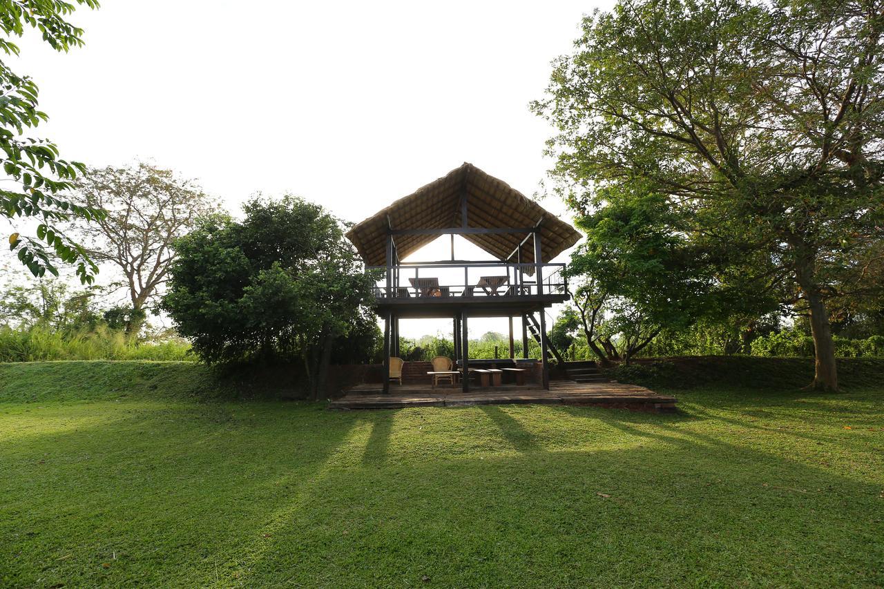 Sigiriyajungles & 5* Sigirîya
