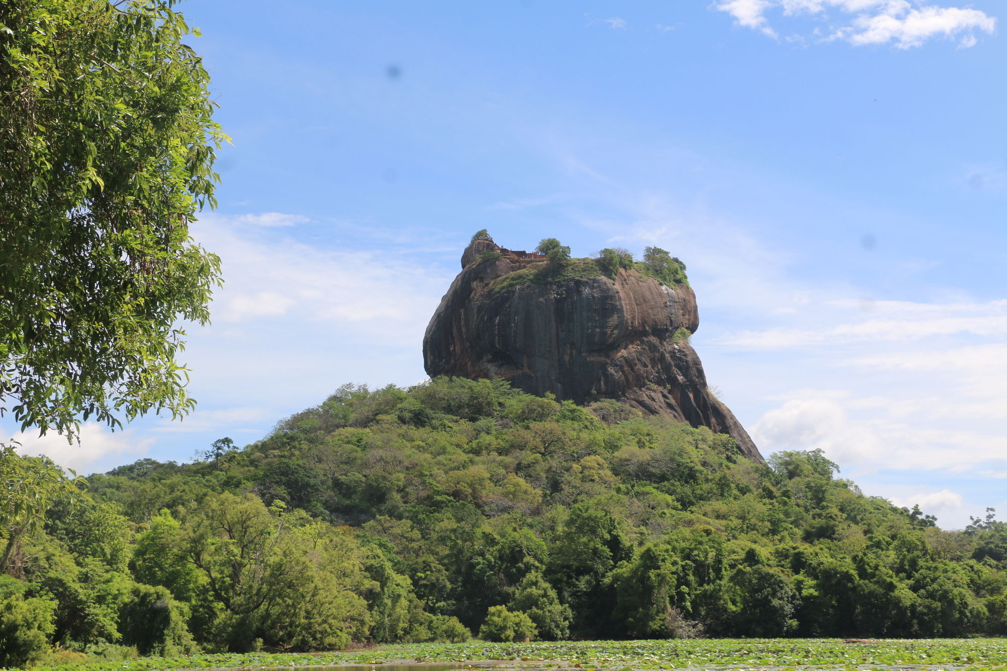 Sigiriyajungles &
